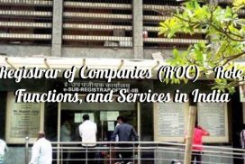 Registrar of companies (roc)